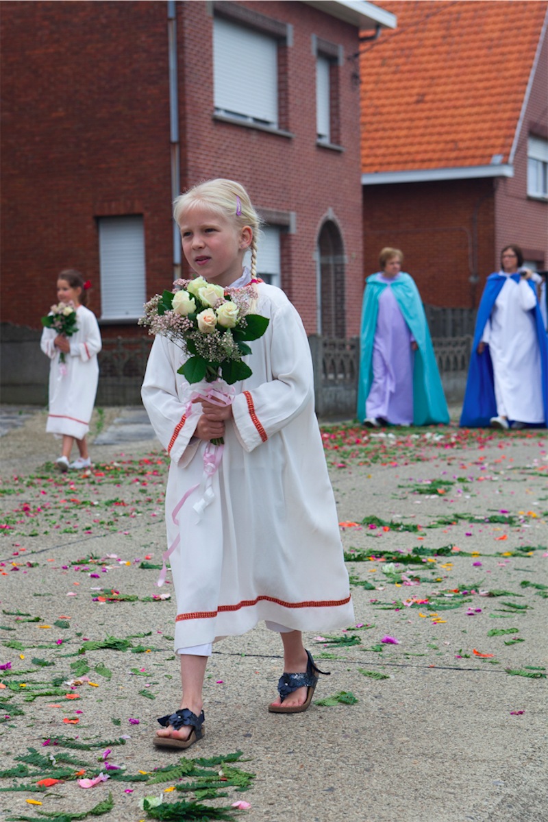 afbeelding_116-2