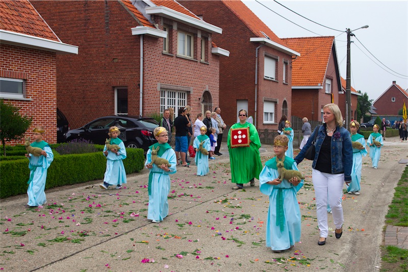 afbeelding_120-2