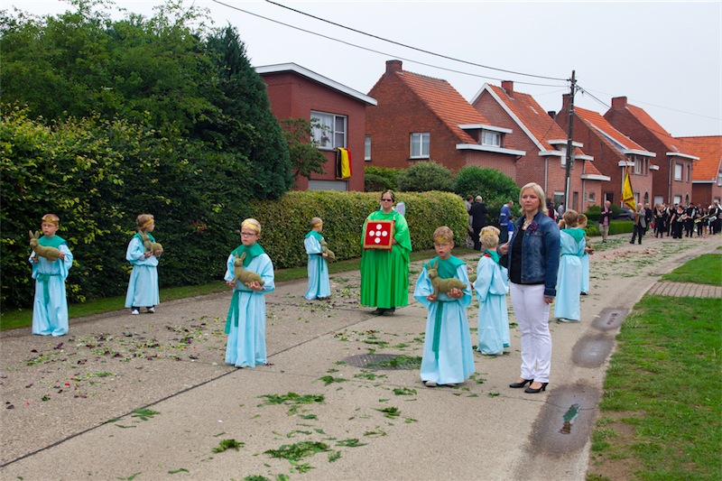 afbeelding_124-2