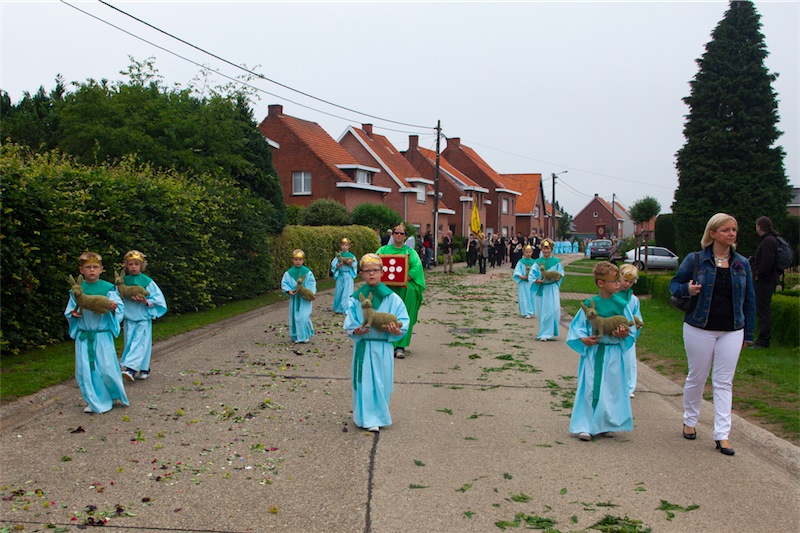 afbeelding_125-2