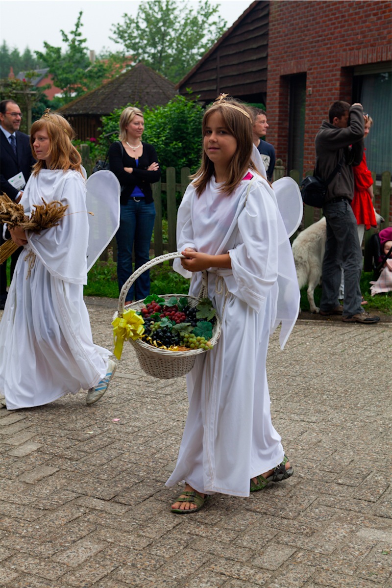 afbeelding_154-2