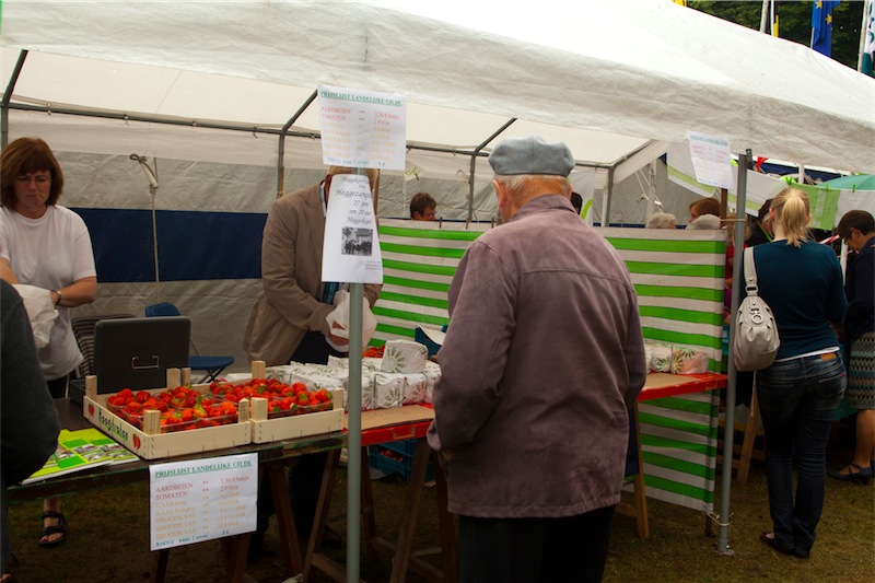afbeelding_213-1