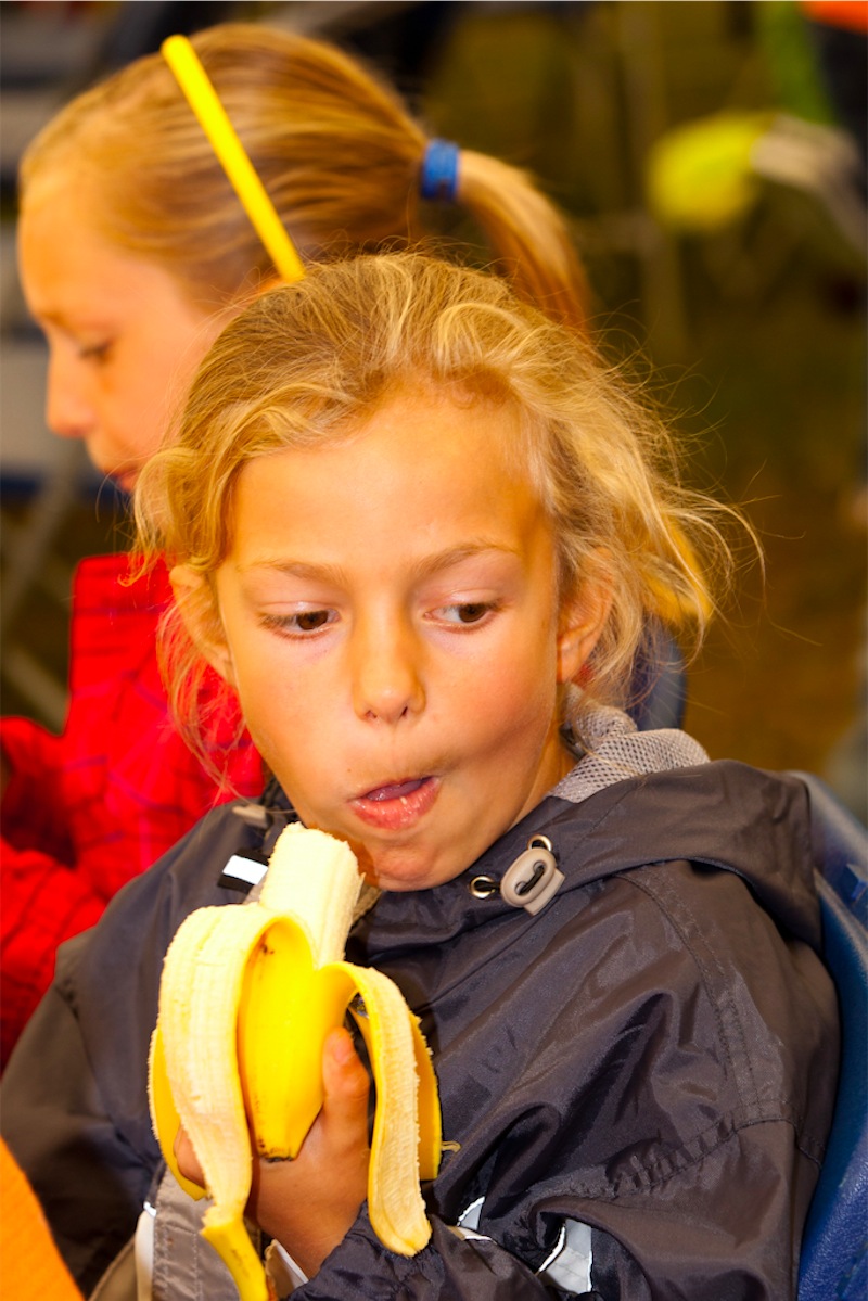 afbeelding_335