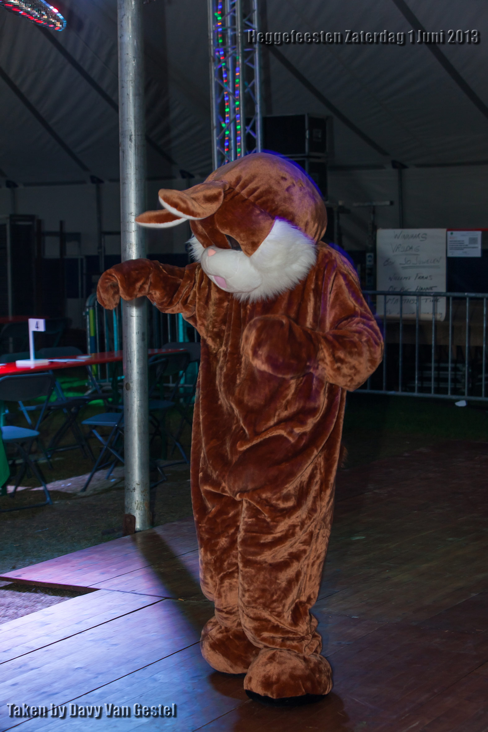 heggefeesten-zaterdag-1-juni-2013094