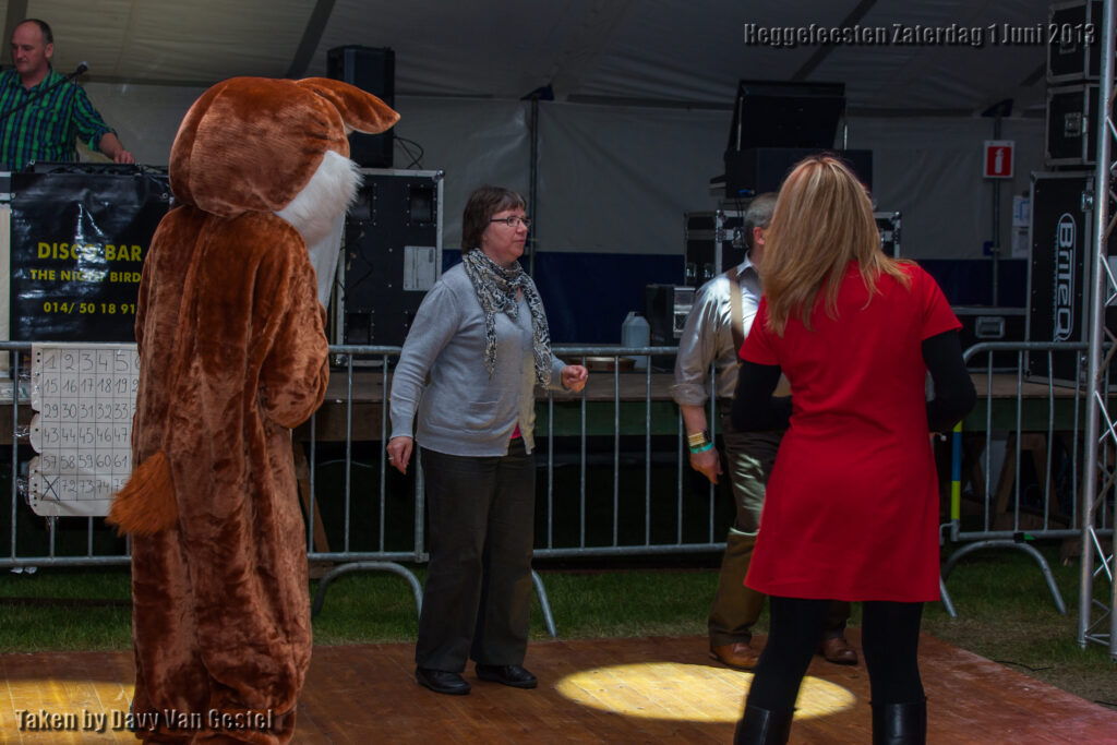 Heggefeesten 2013: Bokes en spelen