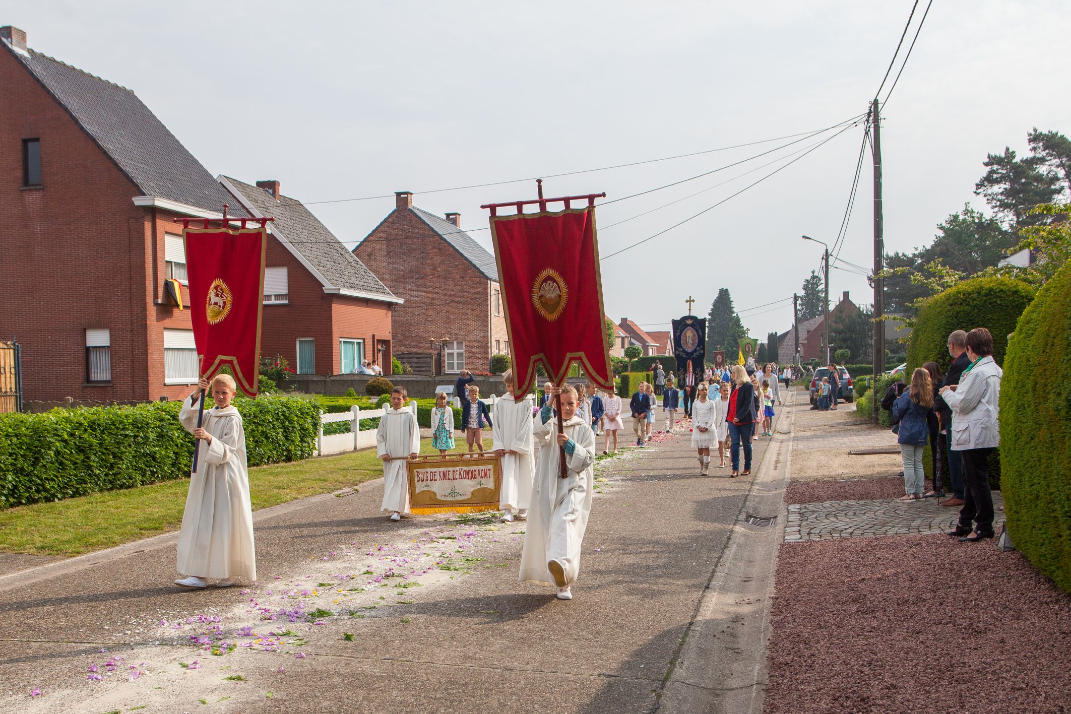 MG_6882-1