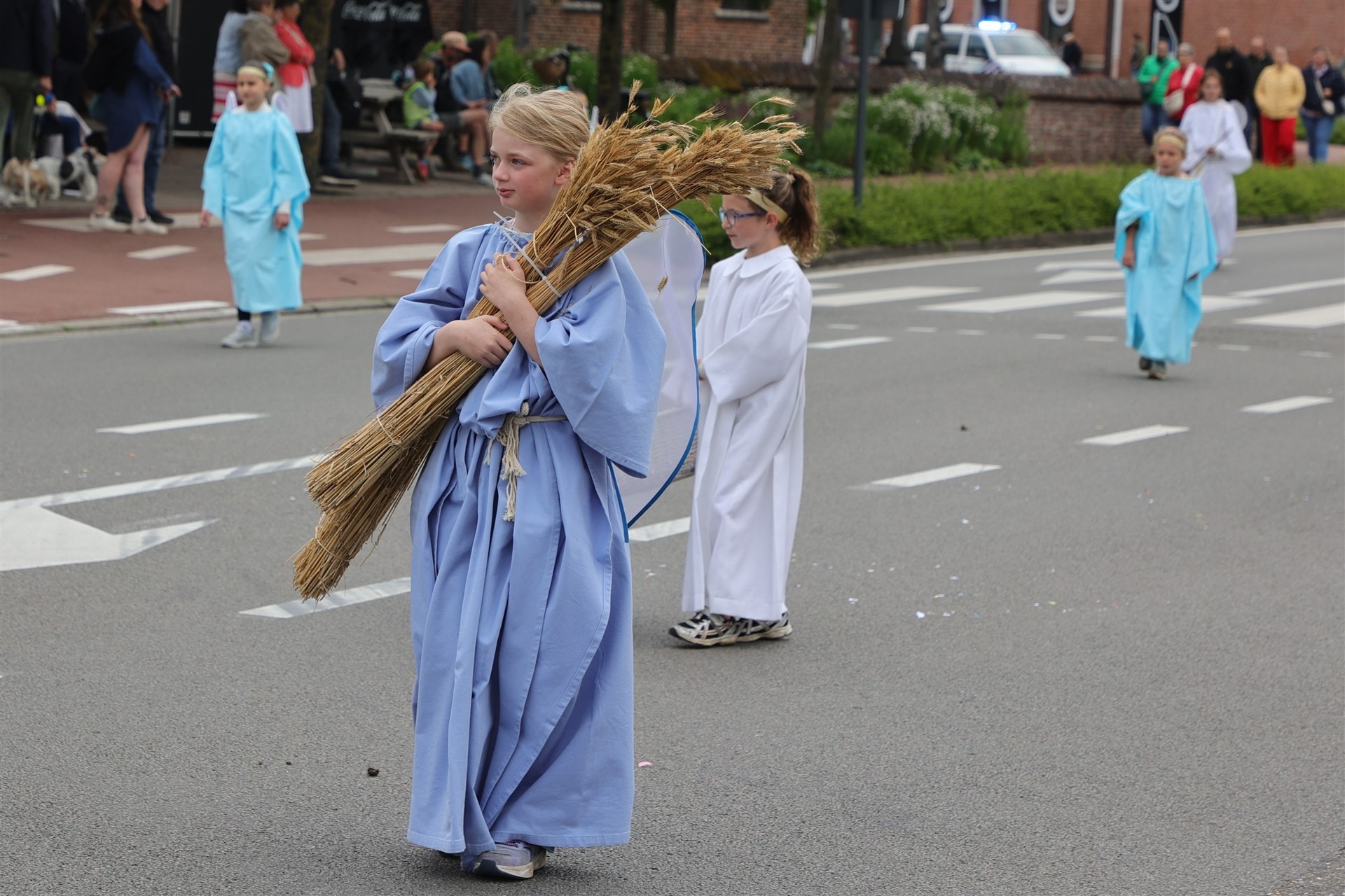 Heggefeesten 2026 Processie (c) Mil Cambré